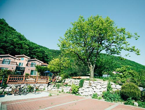 Utopia Pension Gyeongju Exterior foto